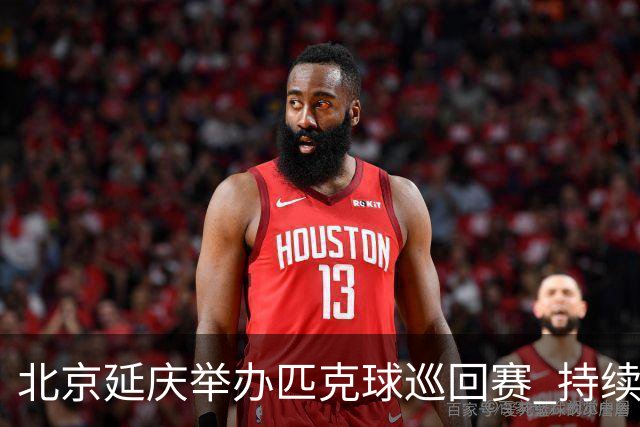 北京延庆举办匹克球巡回赛 持续擦亮户外运动城市名片